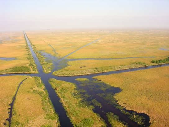 airboat trails