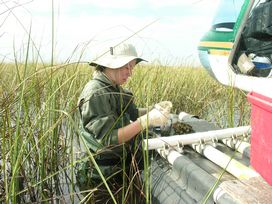 sampling periphyton