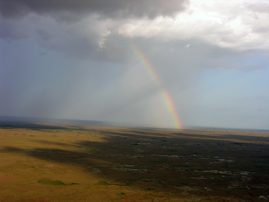 rainbow