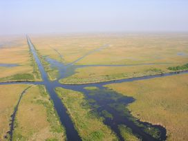 airboat trails