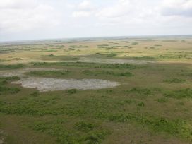 Rocky Glades