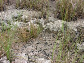 everglades mountain