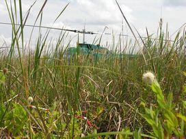 chopper typha
