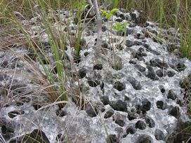 everglade mountains