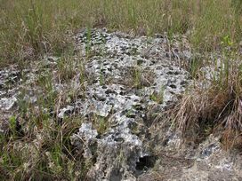 everglade mountains