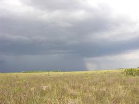 rainclouds