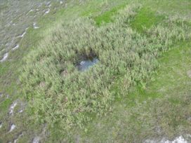 gator hole