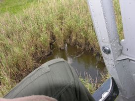 gator hole