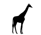 Icons_Activity_Home