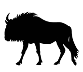 Icons_Information_Home